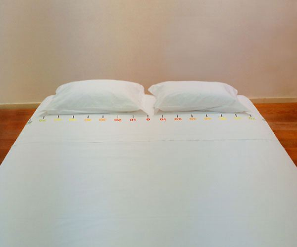 Bed Divider resized 600