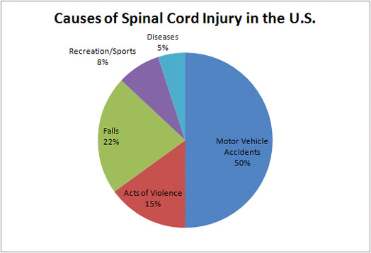 spinal cord causes resized 600